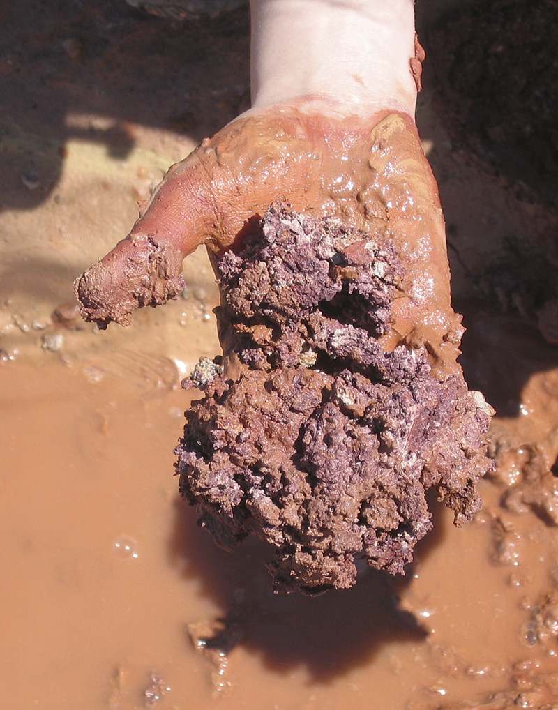 handful of raw clay